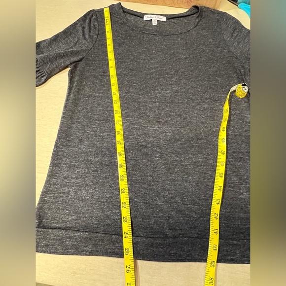 🛍️HARLOW & ROSE Gray embroidered balloon sleeve blouse size S. - Picture 12 of 12